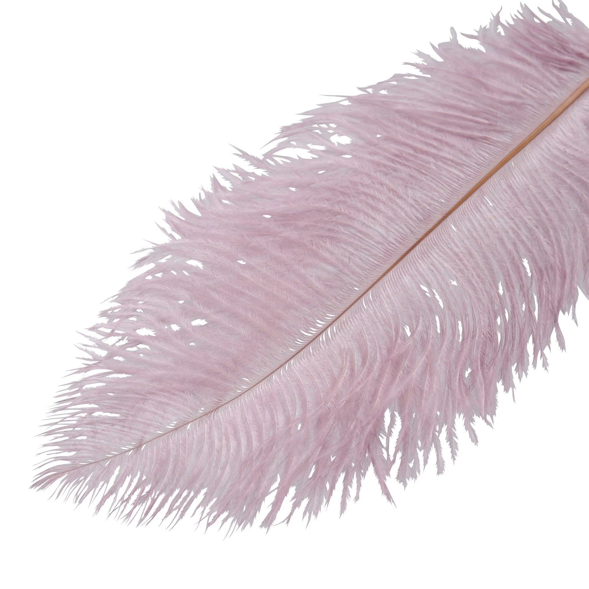 Big Feather Pen Purple