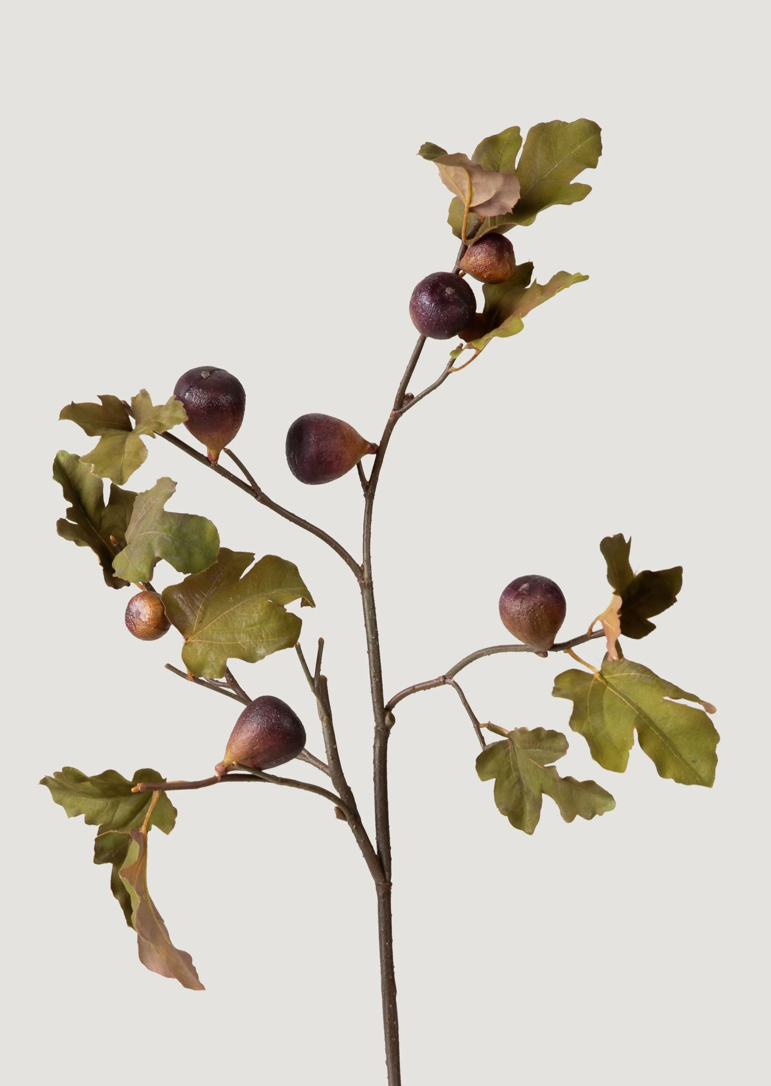 Dried Look Faux Fig Branch in Eggplant - 37"